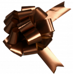 BOW POMPOM COPPER 30MM X100(454835)