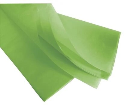 TISSUE APPLE 480 SHEETS X1 (84C0002)